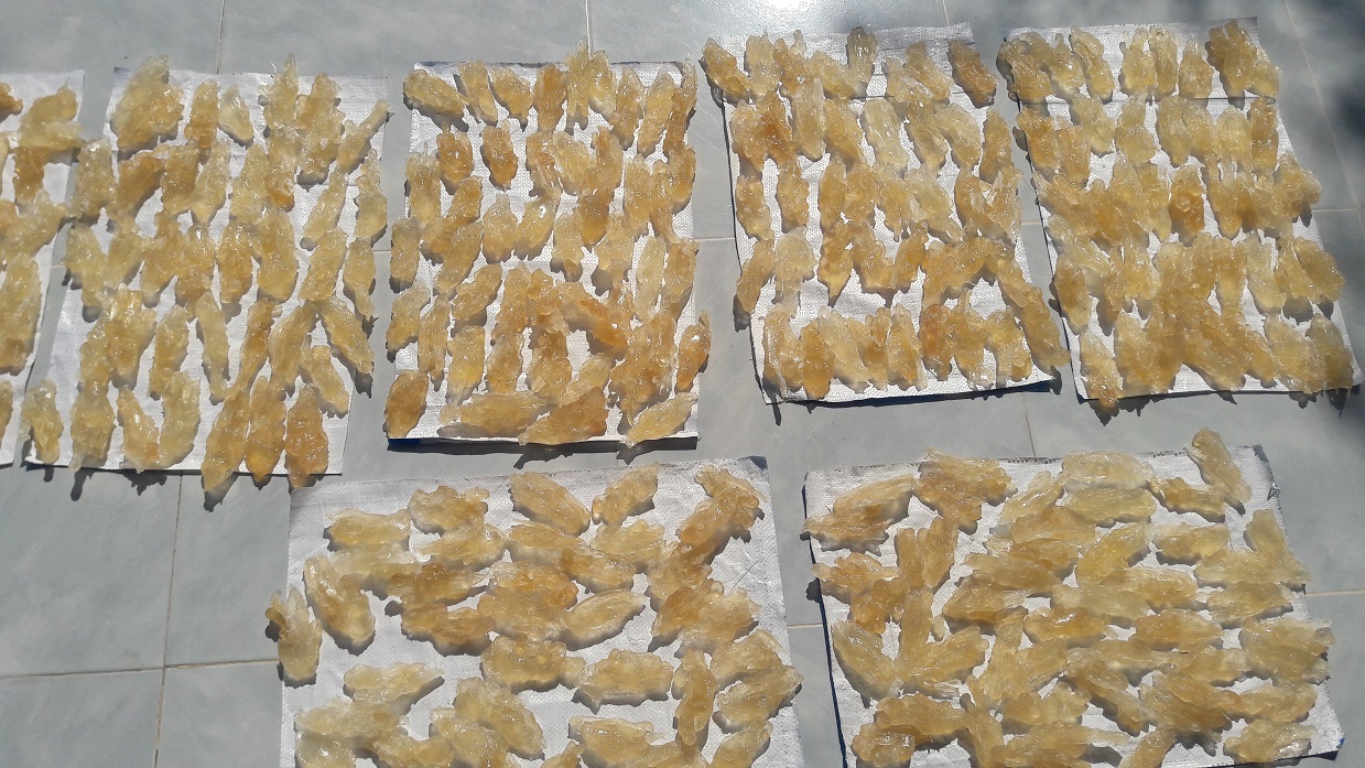 MỦ TRÔM SẠCH 500GR