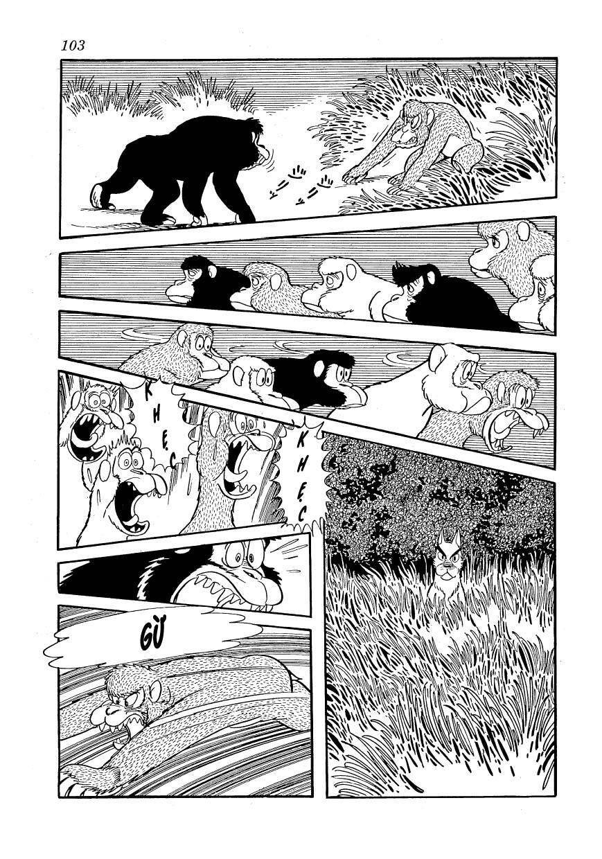 chim lửa chapter 80 21