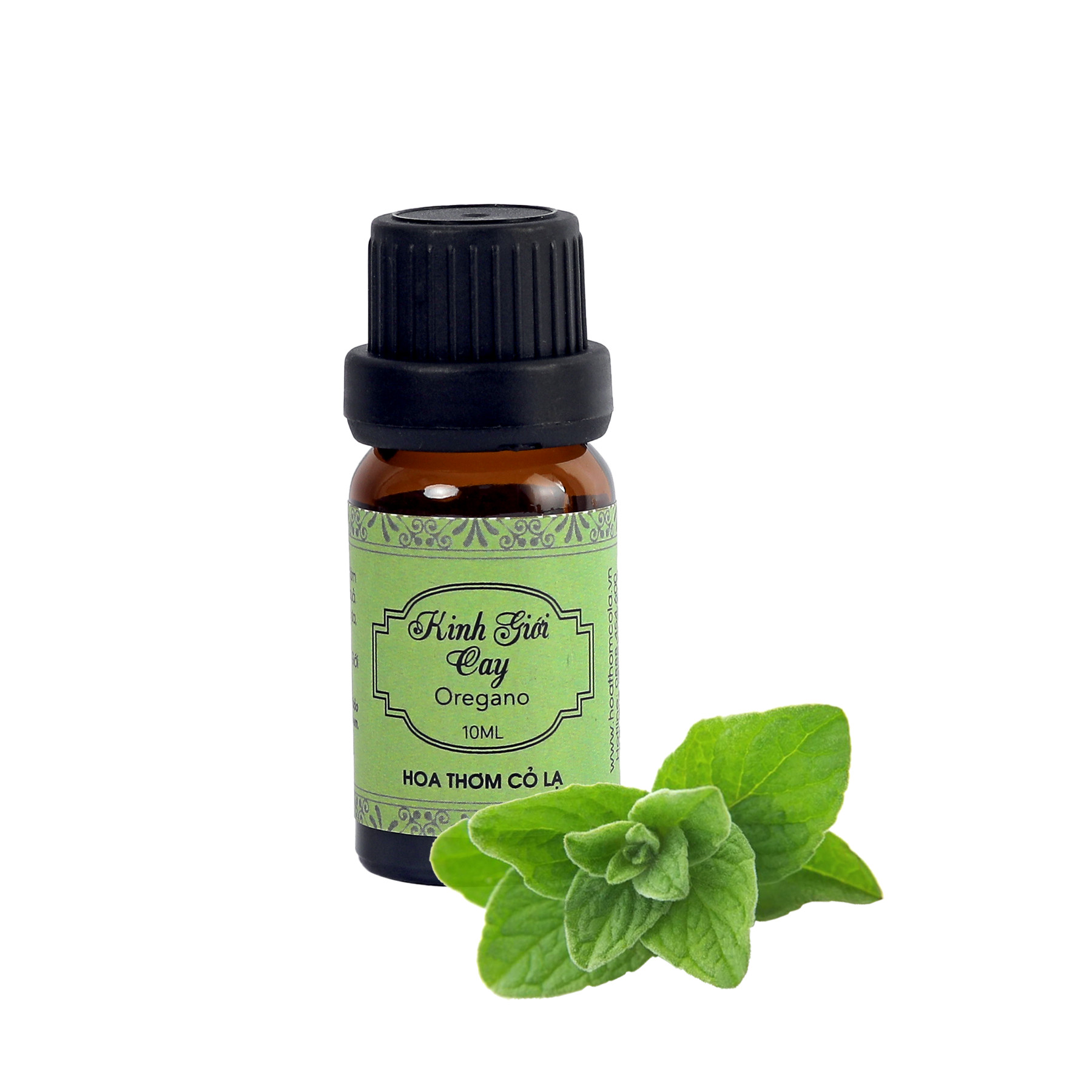 Tinh Dầu Kinh Giới Cay - Oregano Essential Oil 10ml - Hoa Thơm Cỏ Lạ