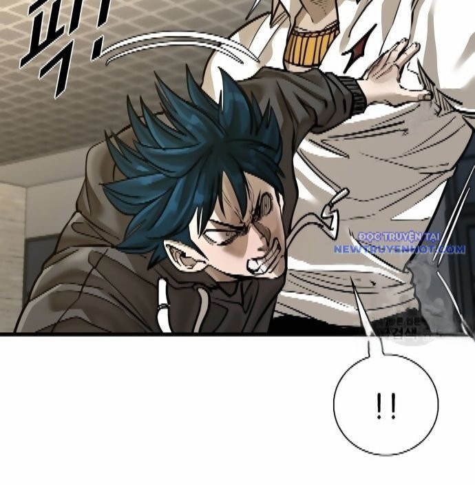 shark - cá mập chapter 298 153