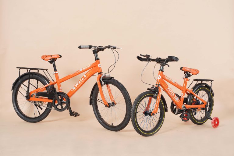 Xe đạp trẻ em Wiibike Wall.E Kid bé trai 20inch 6-11 tuổi