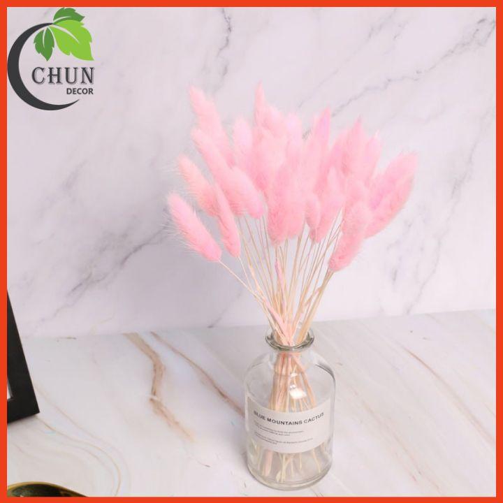 Hoa Khô, Bình Hoa Cỏ Đuôi Cao 25cm Trang Trí Nhà Cửa, Cửa Hàng, Văn Phòng