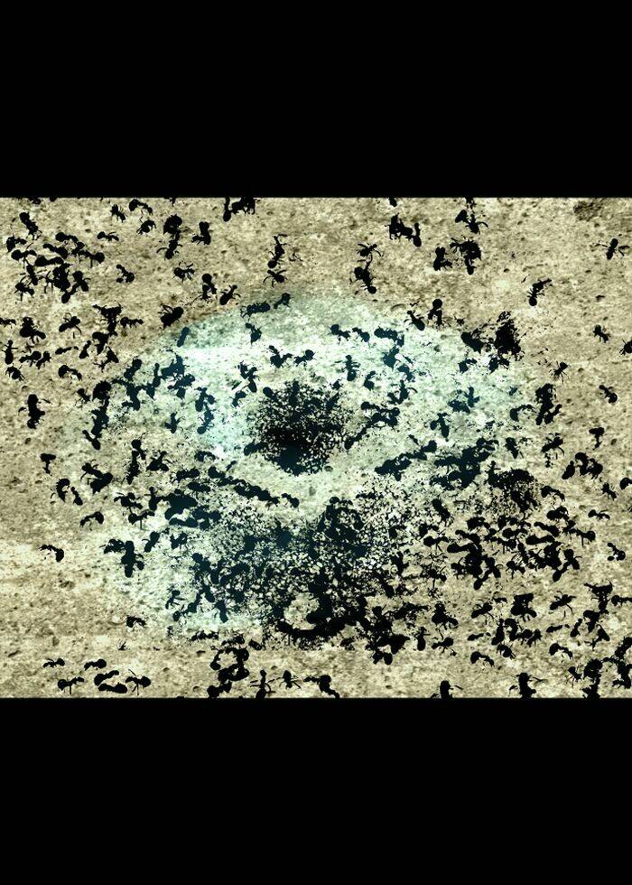 đôi mắt từ trái tim chapter 18 35