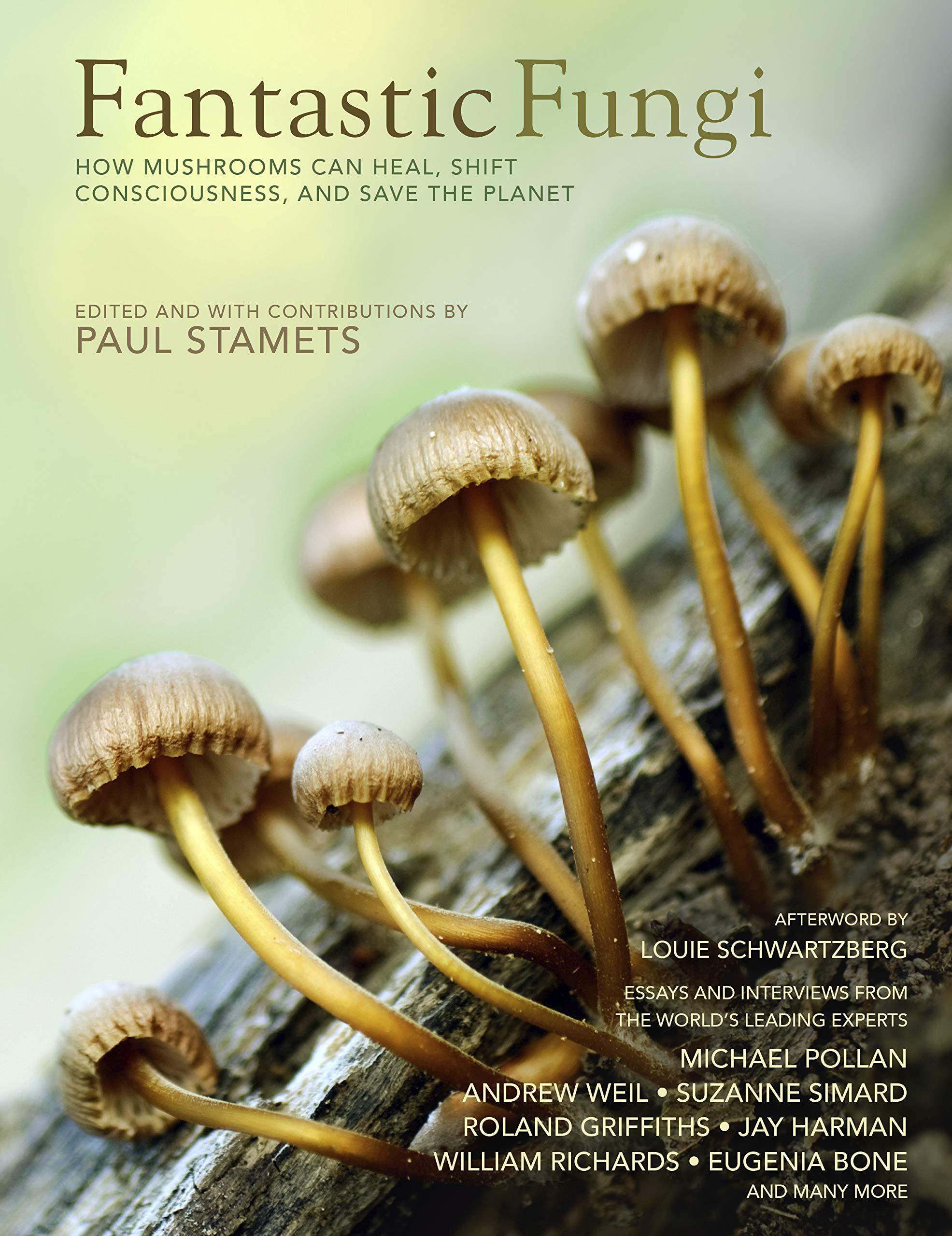 Fantastic Fungi: How Mushrooms Can Heal, Shift Consciousness, And Save The Planet