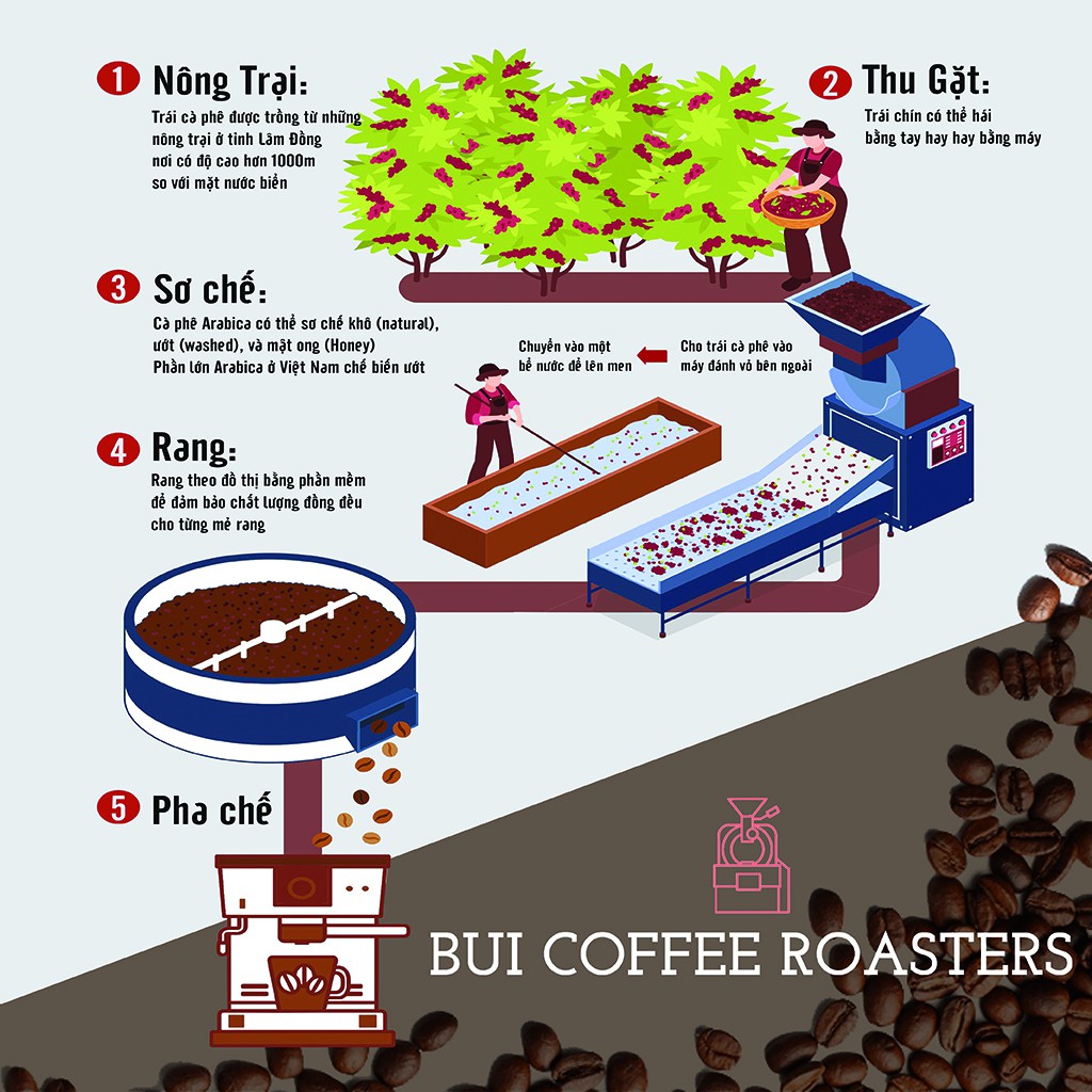 Cà Phê Arabica - Bui Coffee Roasters 500g (Nguyên Hạt)