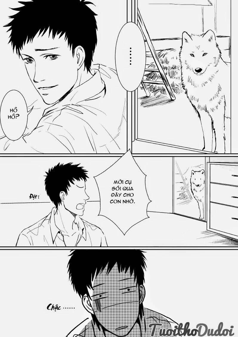 sự mê hoặc của sói chapter 9 5