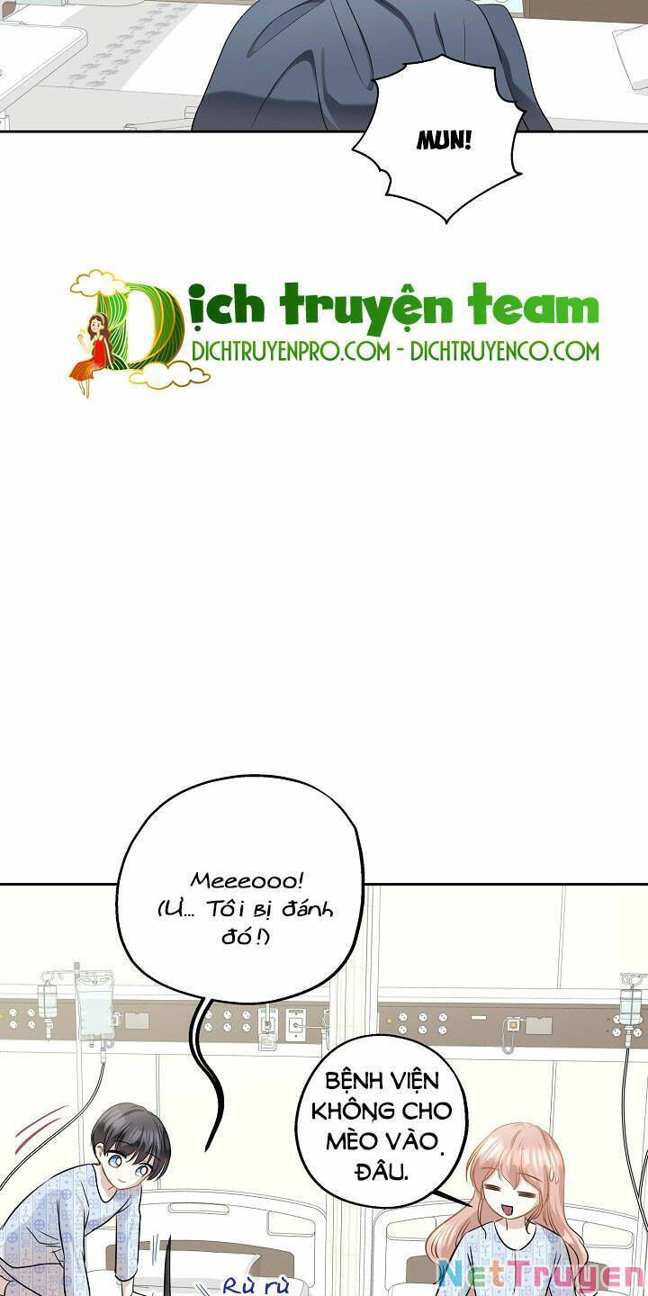 cuộc sống kỳ thú chapter 86 19