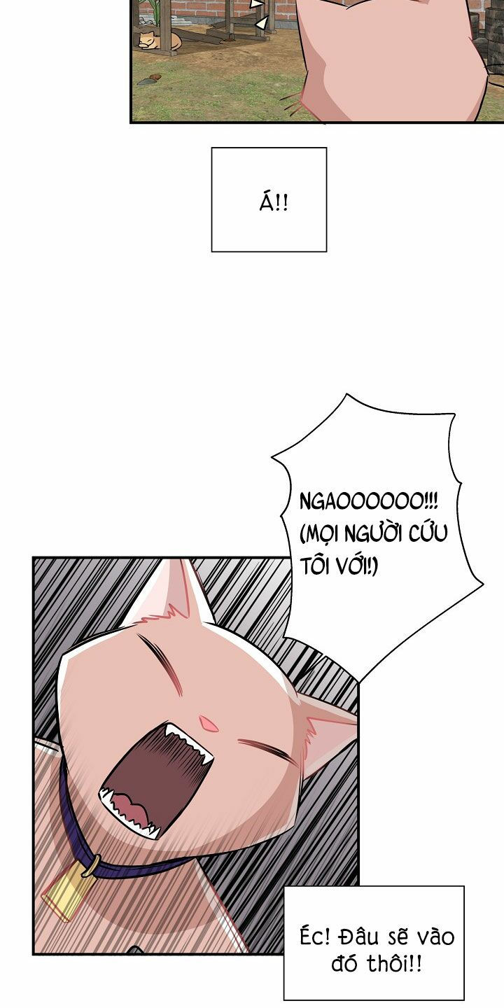 cuộc sống kỳ thú chapter 26 34