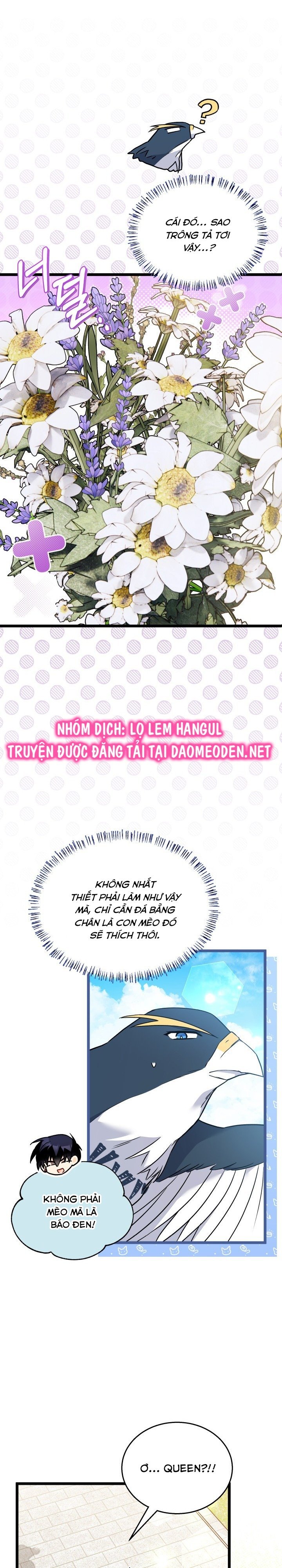 mối liên kết giữa báo đen và bé thỏ chapter 159 24