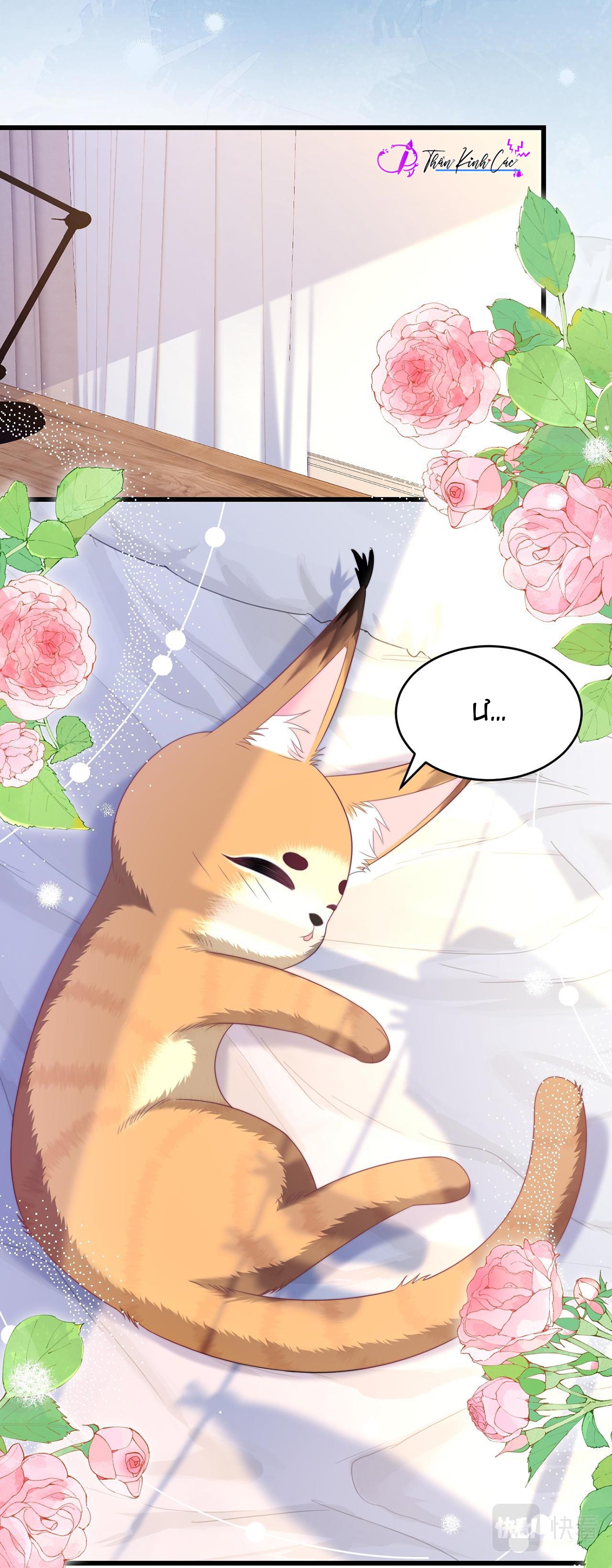 mèo hoang nhỏ của học bá quá chọc người rồi chapter 35 27