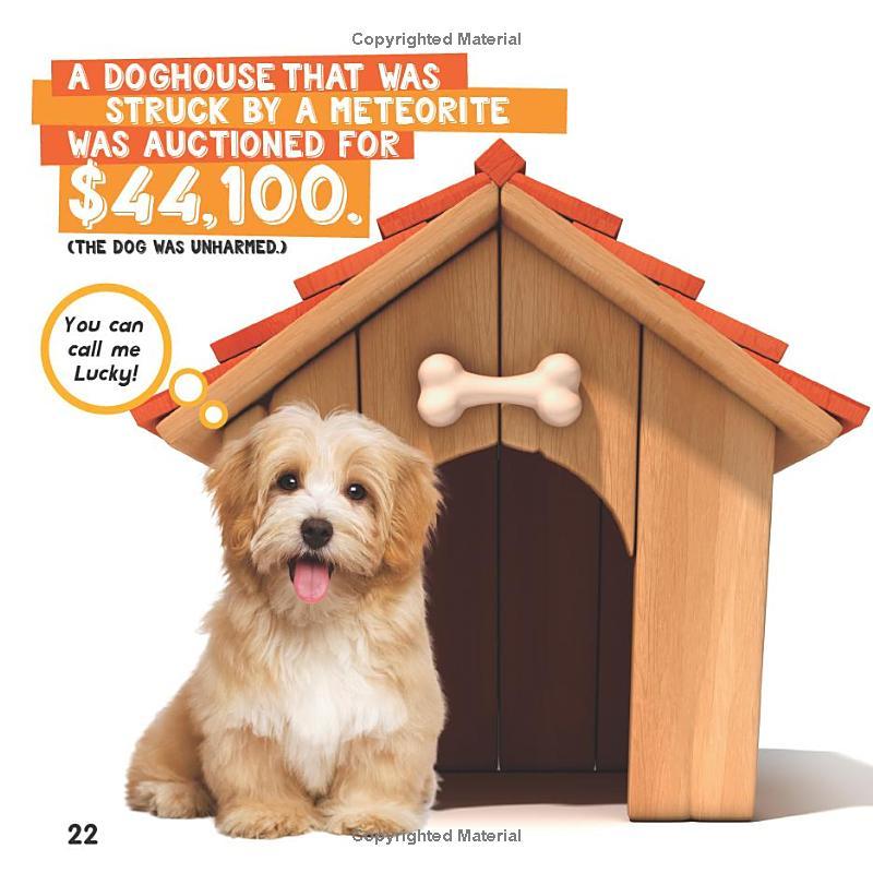 Sách ngoại văn: Weird But True! Space