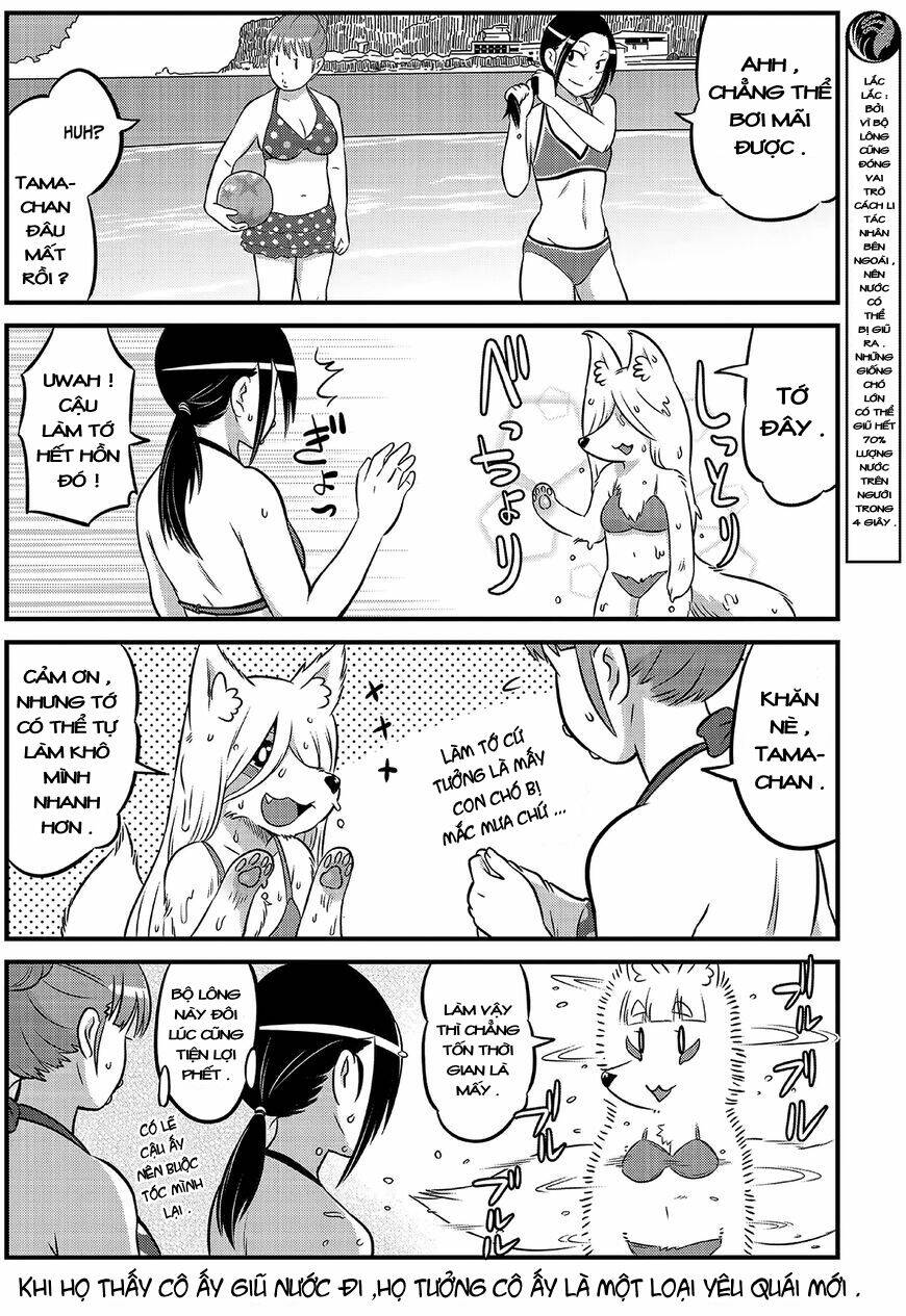 high school inari tamamo-chan ! chapter 14 7