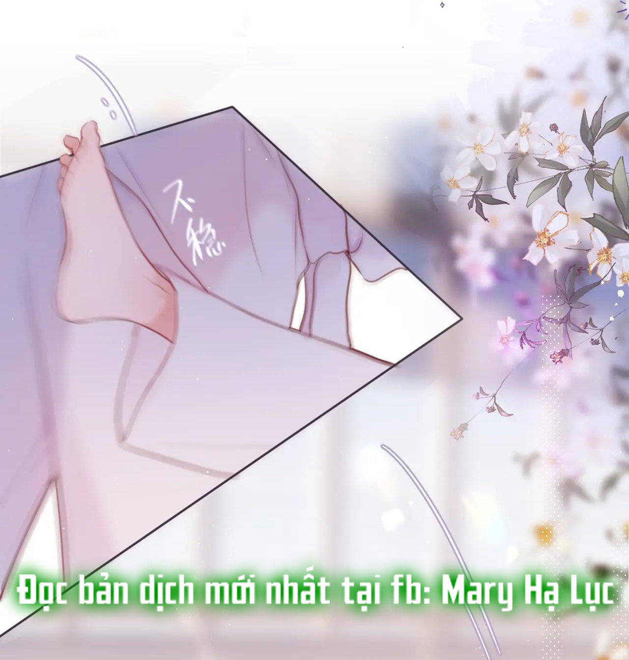 cạm bẫy của hồ ly chapter 32.2 24