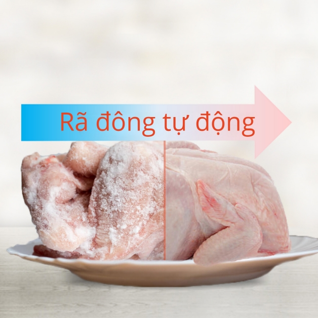 Rã đông tự động