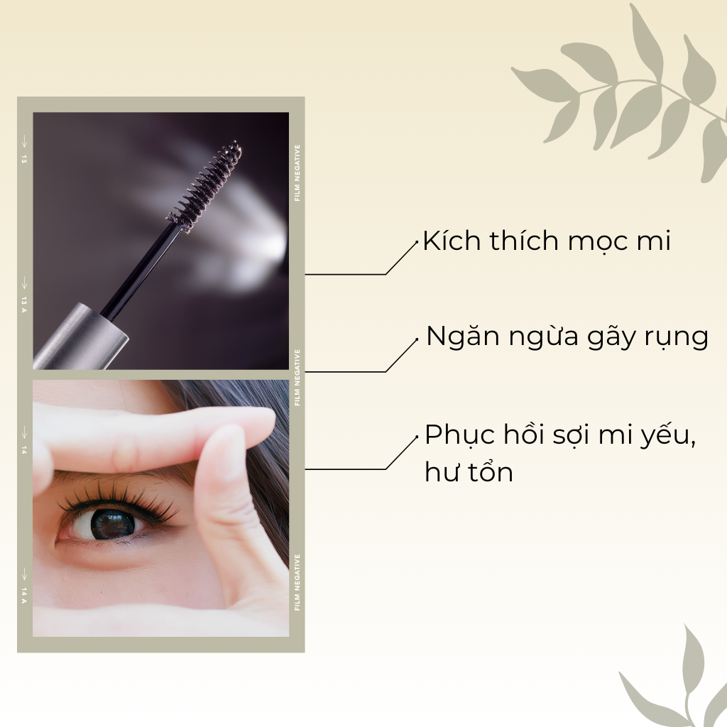 Tinh Chất Dưỡng Mi Tăng Cường Black Turbo POP