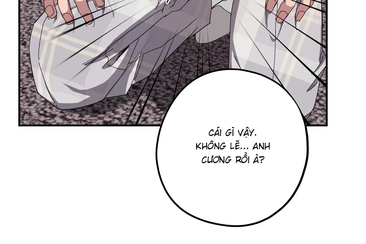 chàng dâu nhà họ kang chapter 34 145