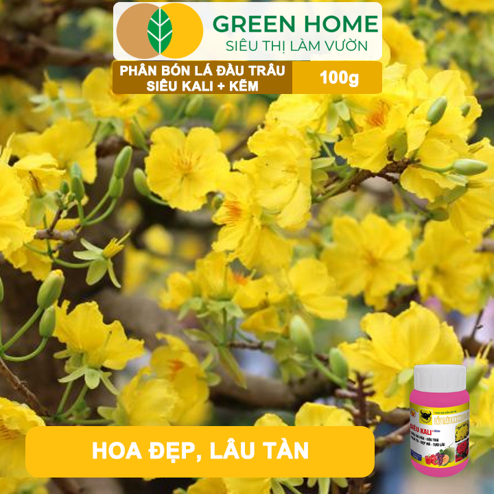 Phân Bón Lá Đầu Trâu Siêu Kali + Kẽm GreenHome, Hũ 100gr, Siêu Ra Hoa, Đậu Trái, Trái To, Đẹp Mã