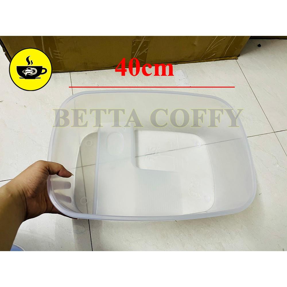 Bể Nuôi Rùa - Nuôi cá ếch thằn lằn chuột đều được - Size Lớn & Cực Lớn