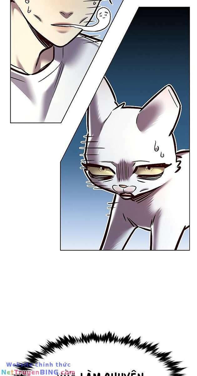 biến thân thành mèo chapter 278 8