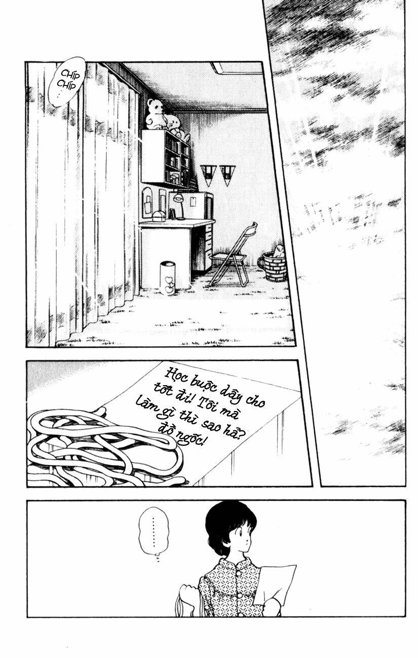 rough - ngọc thô chapter 49 18