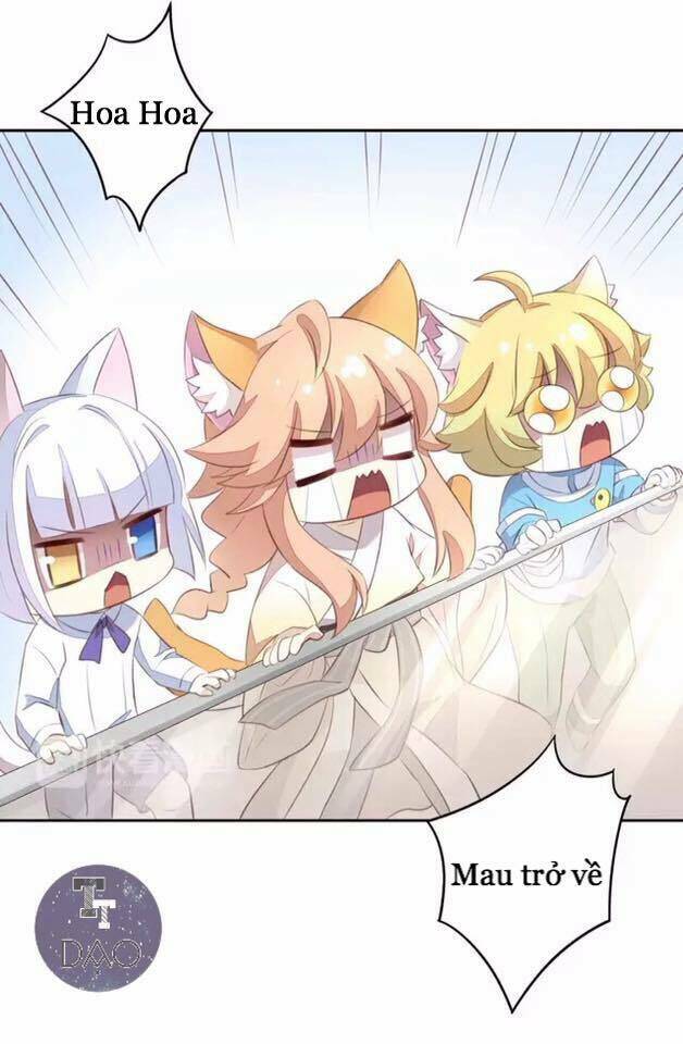 dưới móng vuốt mèo chapter 20 43