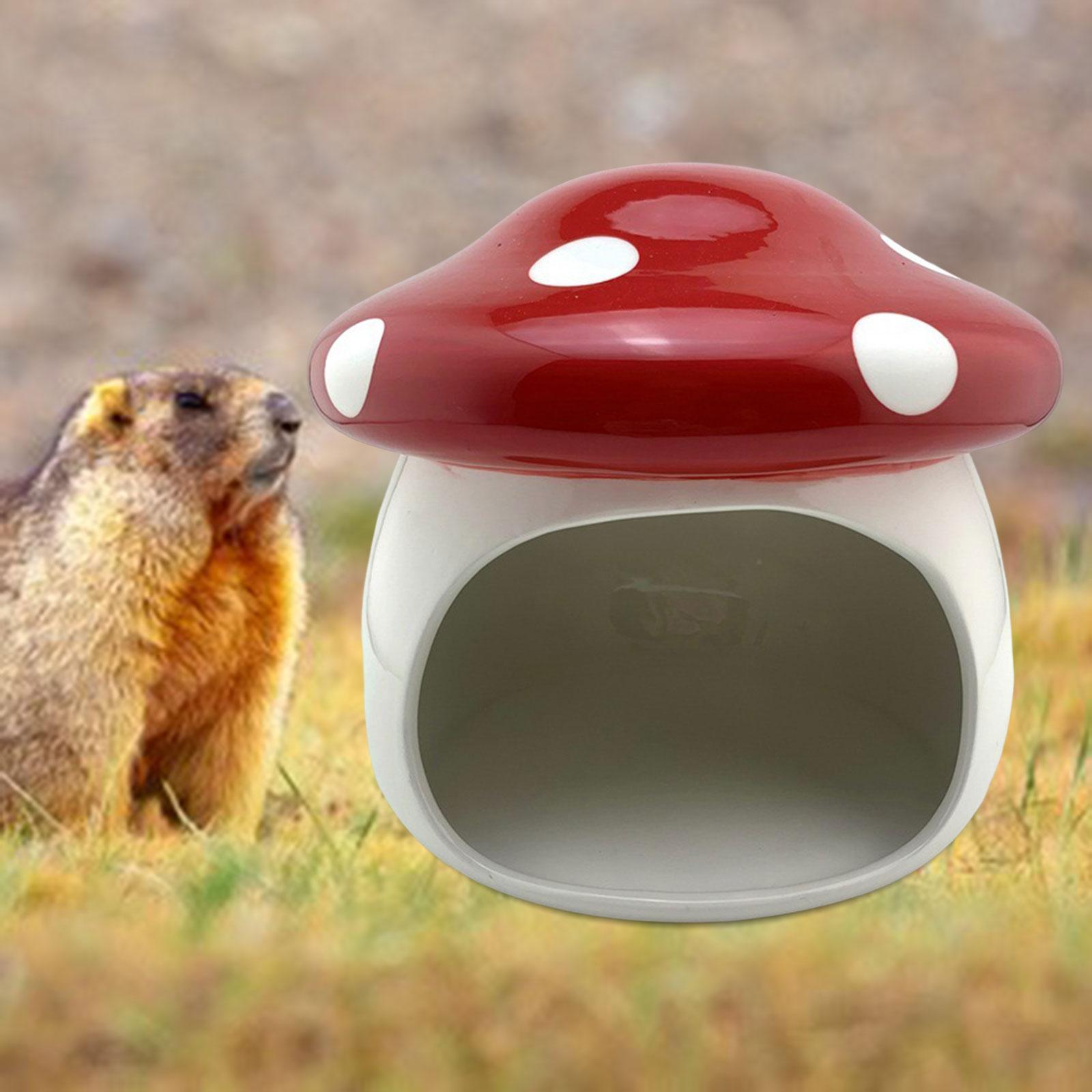 Hamster Houses Hideouts Chinchillas Mushroom Ceramic Hamster Habitat Hideout
