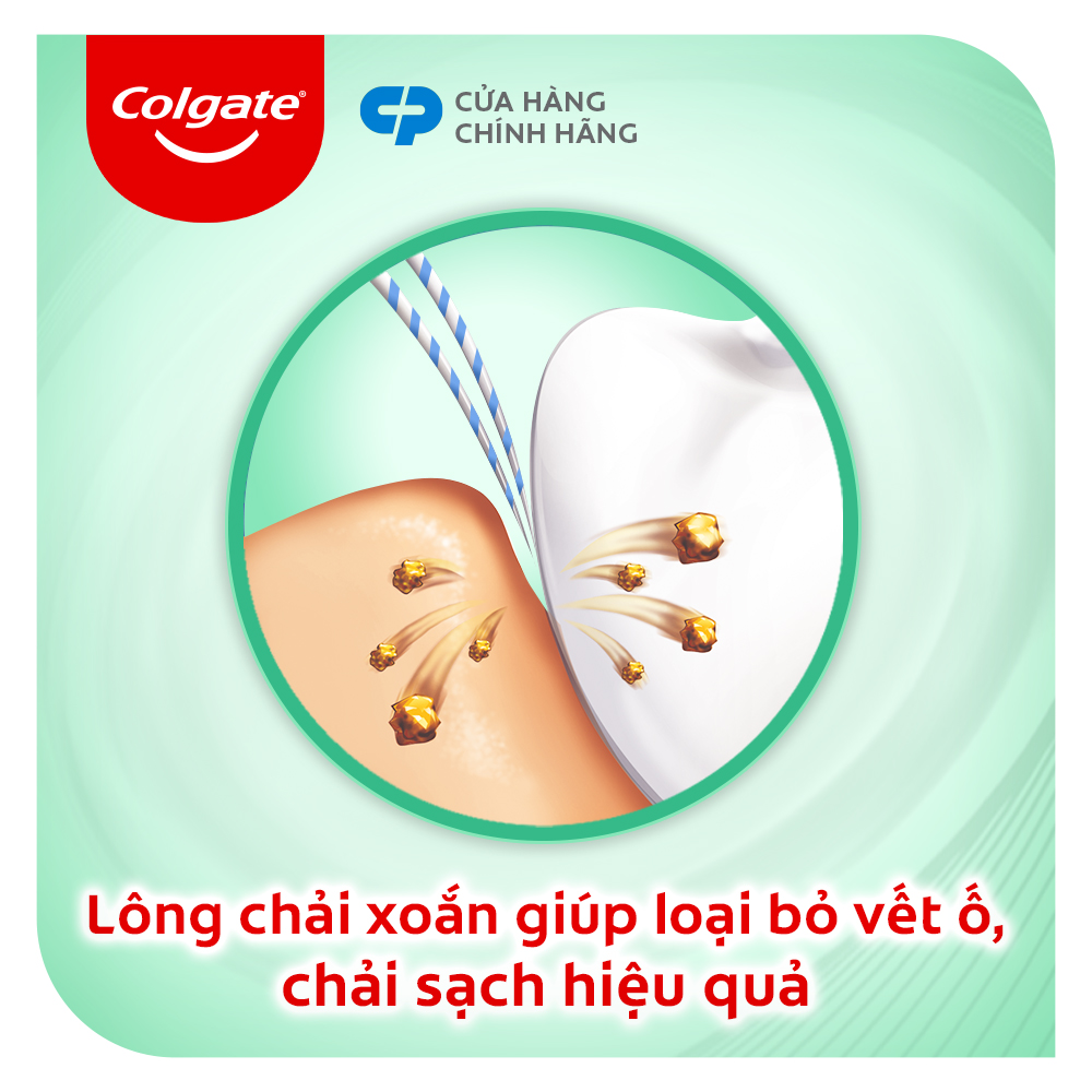 Bộ 3 bàn chải Colgate chăm sóc nướu ( màu ngẫu nhiên )