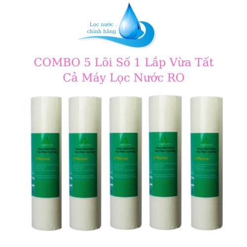 Combo 5 Lõi Số 1 Dùng Cho Mọi Loại Máy Lọc Nước RO