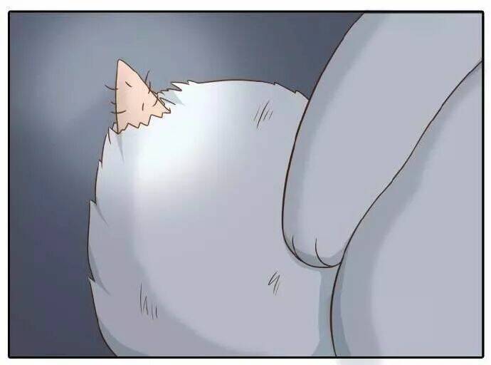 tiểu hồ ly vs tiểu hóa thượng chapter 56 9