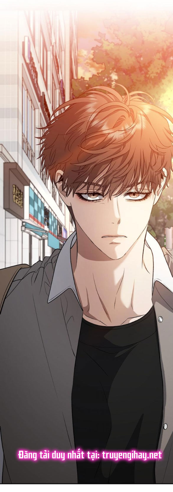 Tự Do Trong Mơ chapter 66.2 4