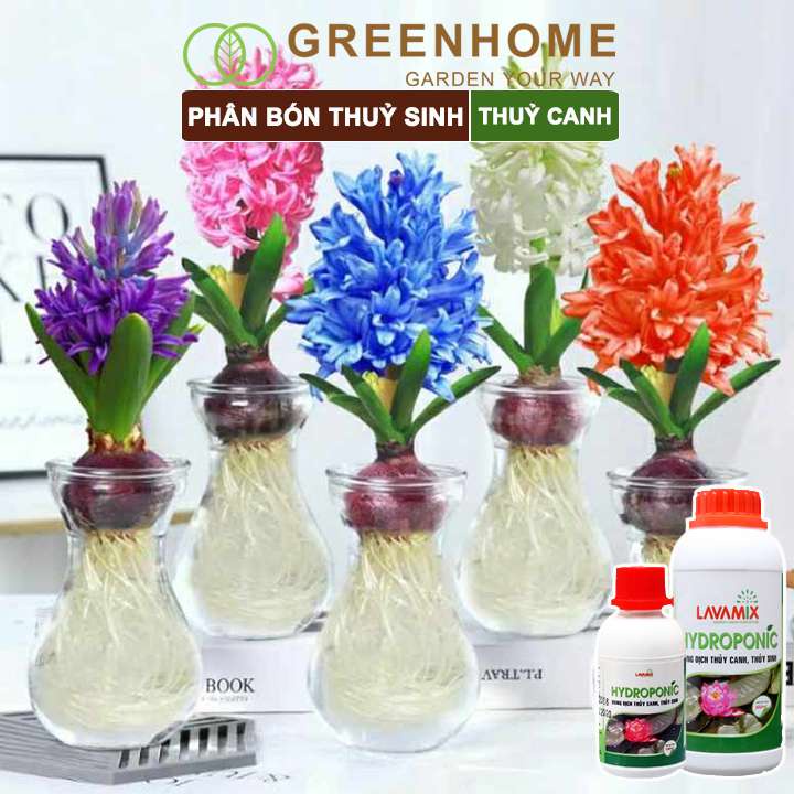 Dung Dịch Thủy Canh Greenhome, Lavamix, Phân Bón Cây Thuỷ Sinh, Hoa Sen, An Toàn Cho Cá, Tép Cảnh