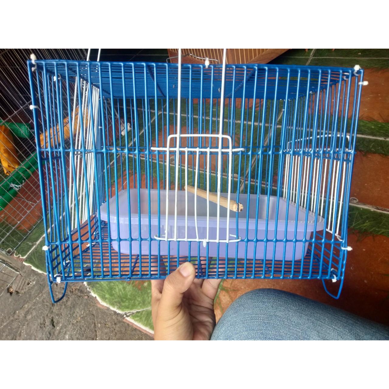 Lồng Tắm Chim 34x21x21