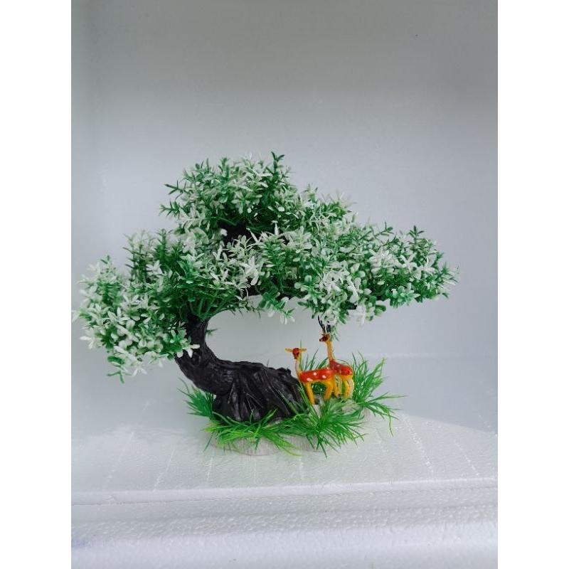 Bonsai bể cá cảnh - cây để bàn - cây trang trí hòn non bộ tiể cảnh
