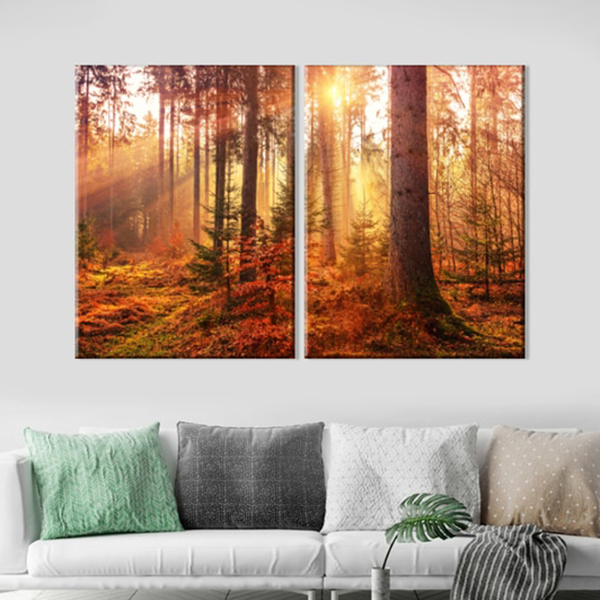 Bộ 2 Tranh Trang Trí Phòng Khách - W343