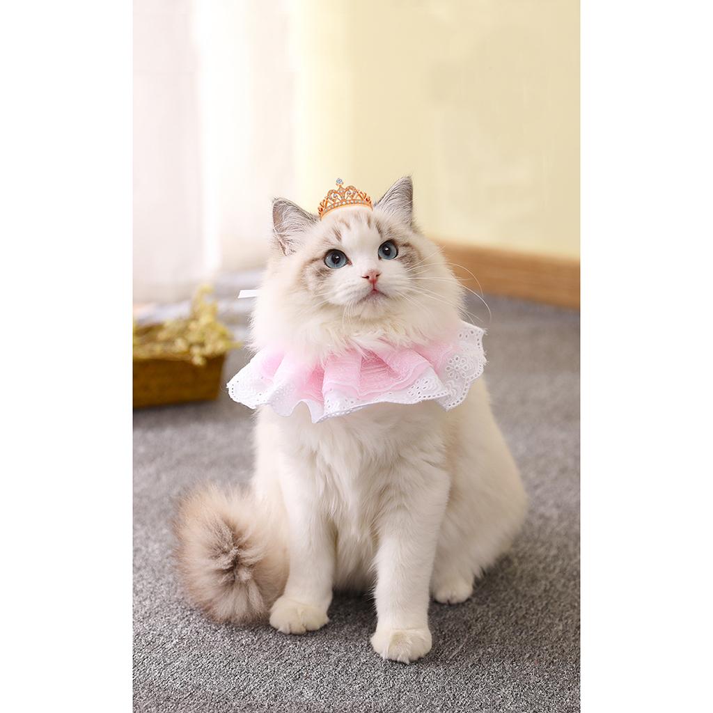 Cat Bandana Collar Cat Dog Lace Bibs Scarf Collar Puppy Neck Bandana Pink