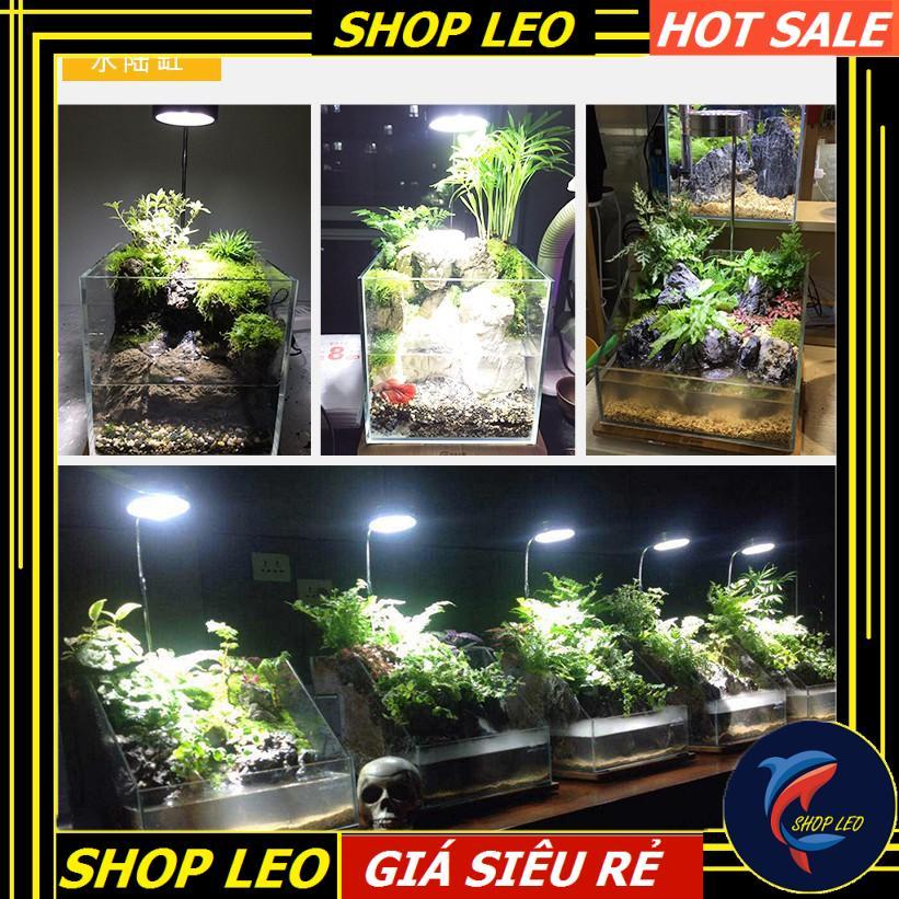 Đèn Led đế gỗ BamBoo 3W - Phụ kiện thủy sinh - shopleo