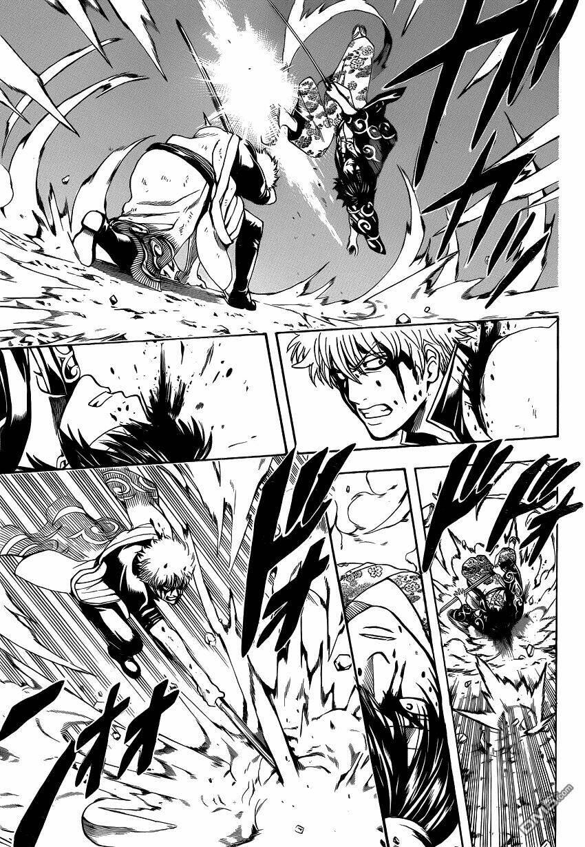 gintama - linh hồn bạc chapter 491 10