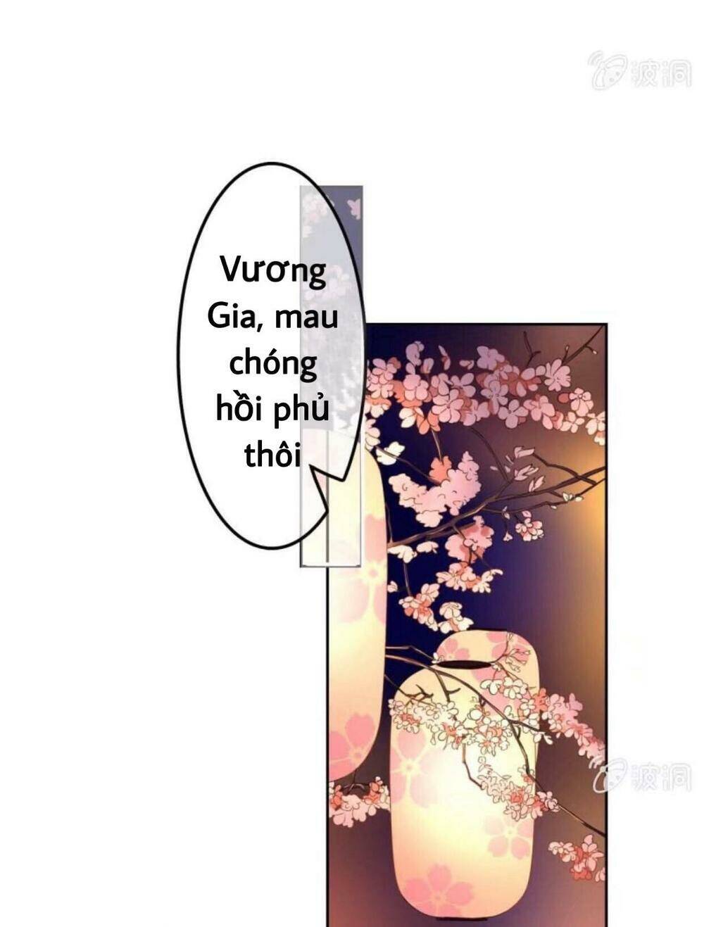 sủng phi của vương chapter 47 20