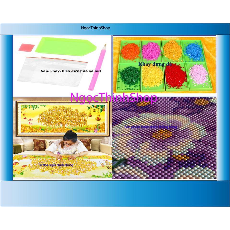 DLH-222937-Mã đáo thành công-116X63