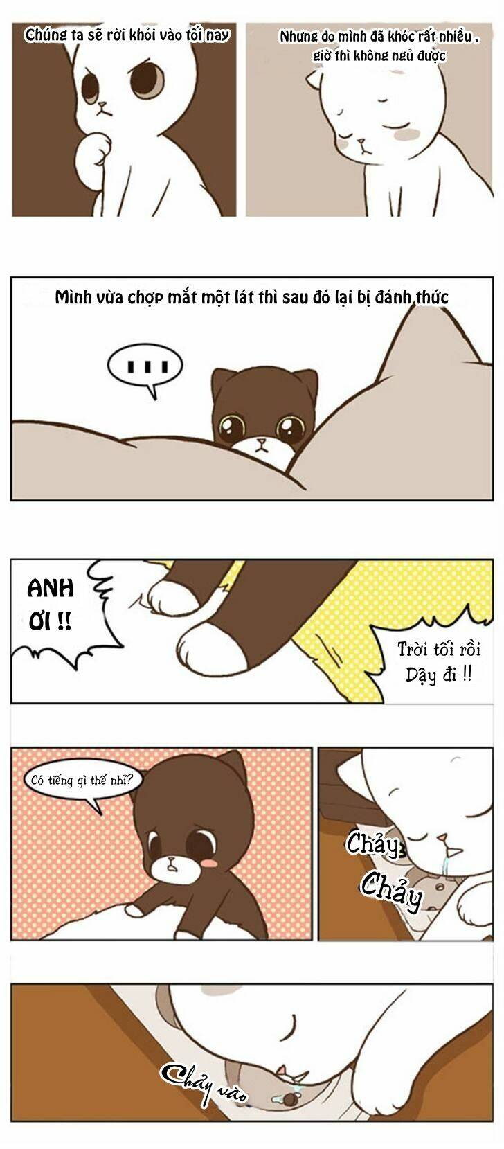 papi nyang chapter 16 3