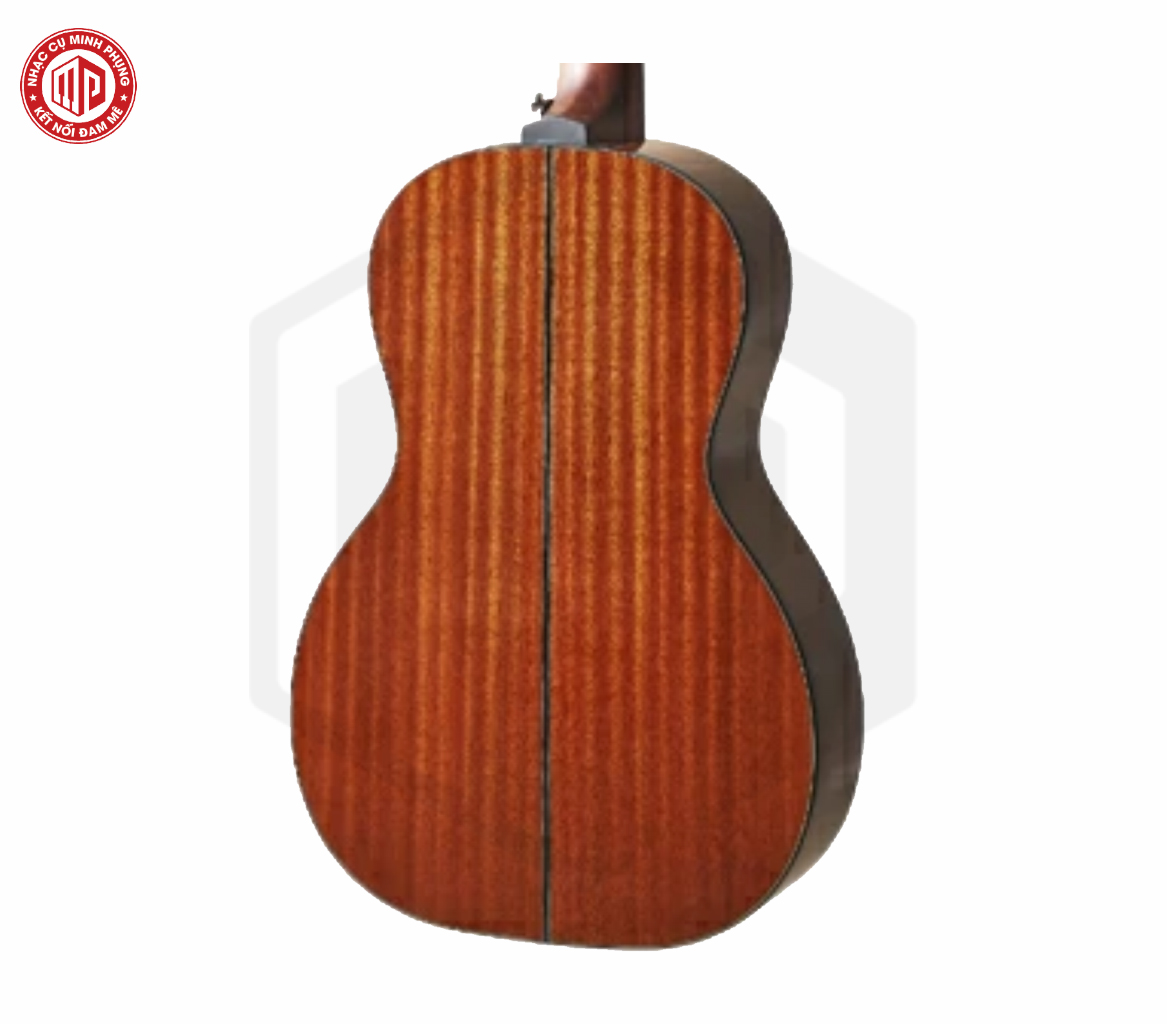 Đàn Guitar Acoustic - HEX P300 - Sting Series - Size Parior - Hàng chính hãng