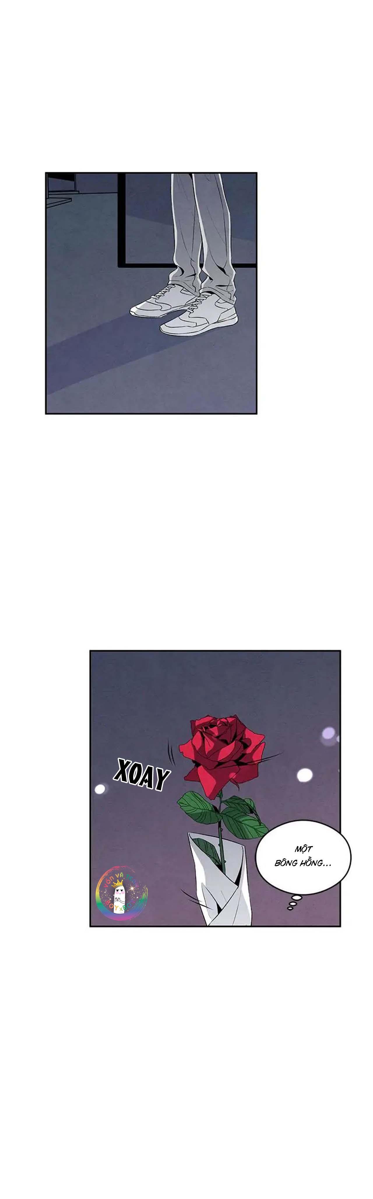 bona sort chapter 16 15