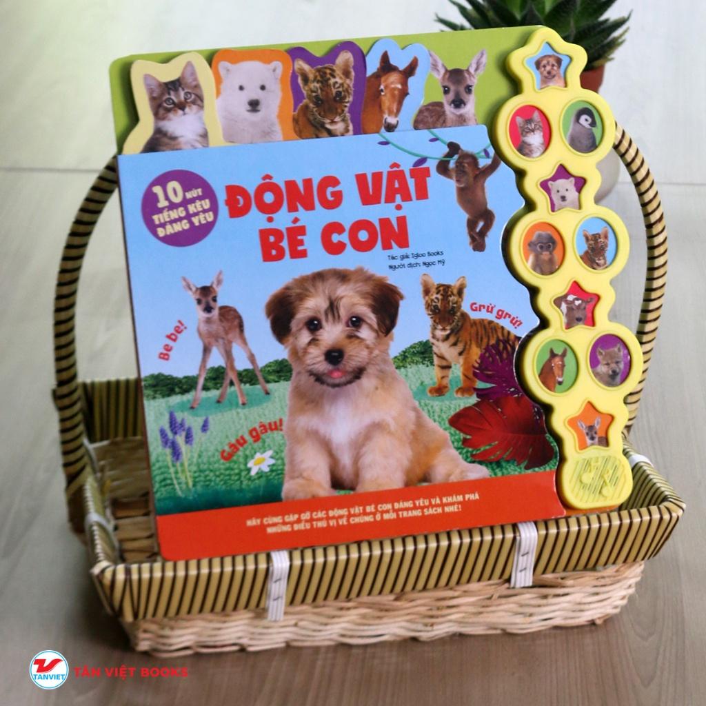 Động vật bé con  - Bản Quyền