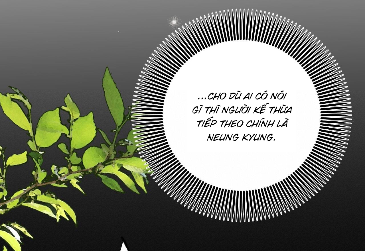 đàn thỏ của habibi chapter 59 29