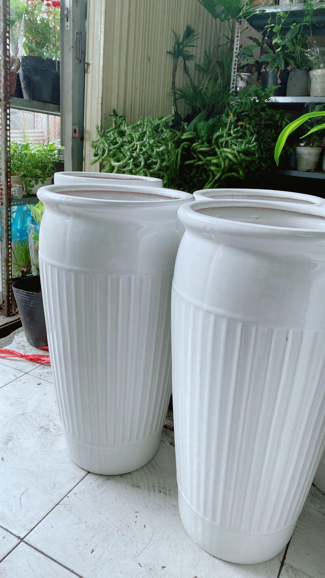 Chậu Trồng Cây Lớn