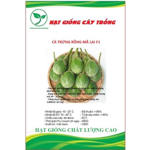 Hạt Giống Cà Trứng Rồng Mã Lai F1 CT271 - Gói 0.3gram