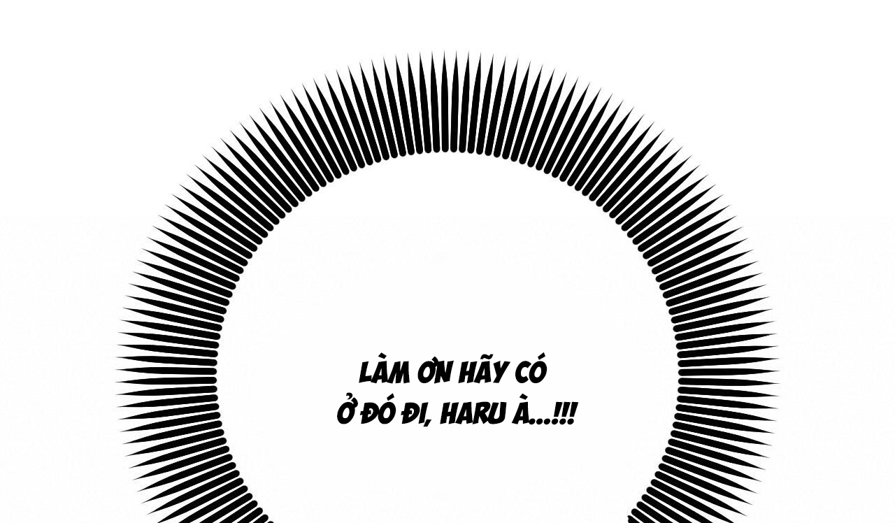 đàn thỏ của habibi chapter 50 167