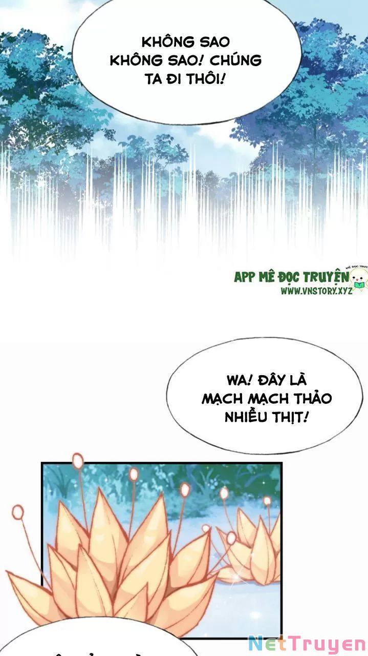 lại bị bệnh chiều chuộng quấn lấy chapter 18 15