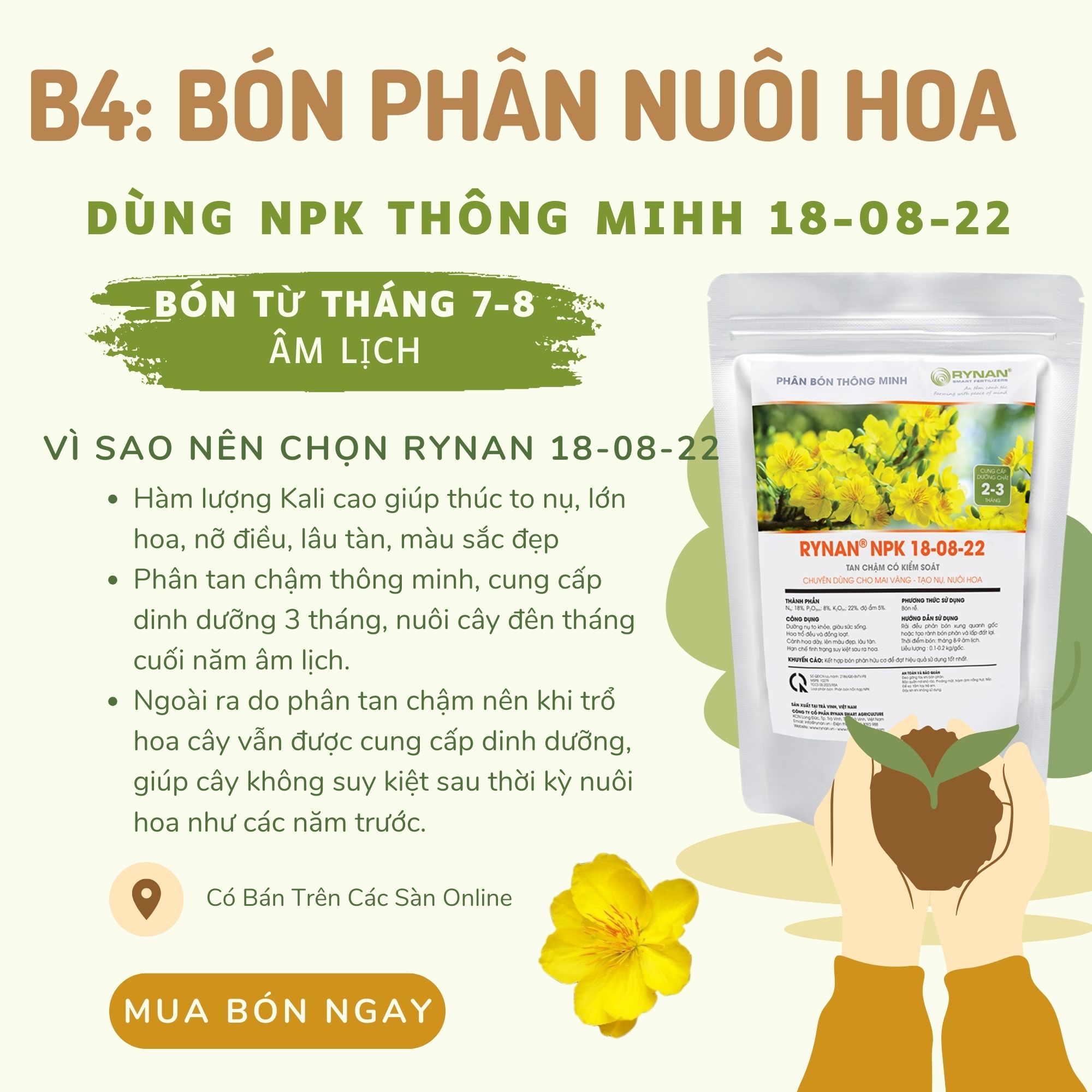 Bộ Sản Phẩm Chăm Sóc Mai Sau Tết Thông Minh