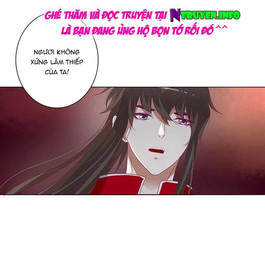 thông linh phi chapter 593 14